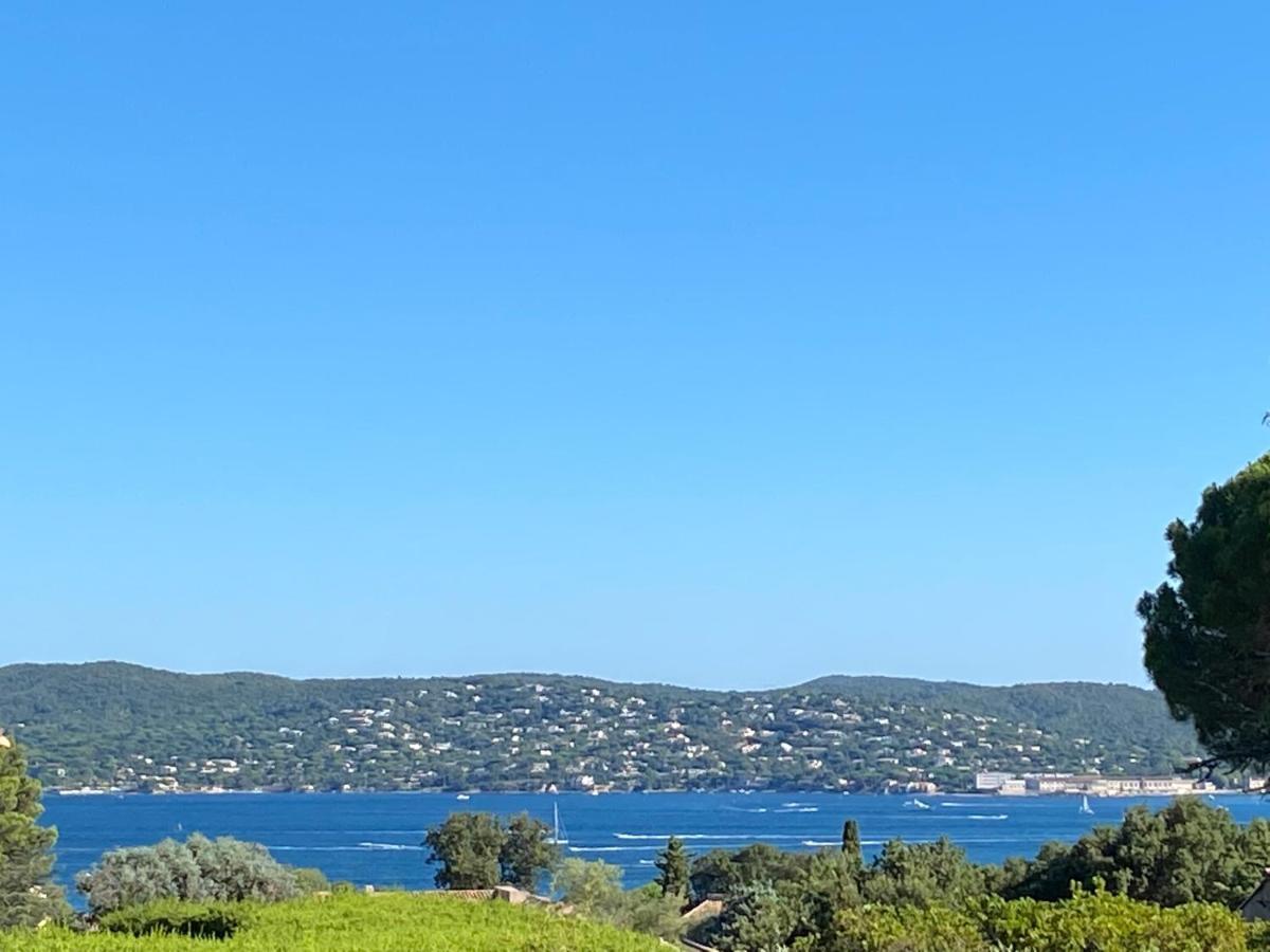 Lovely "Provence" Villa With Sea View, Private Heated Pool, Airco And Beautiful Garden Grimaud Exterior foto